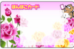 「ぽんぽこカード」ポイント　おまとめ会